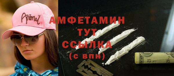 дживик Мегион