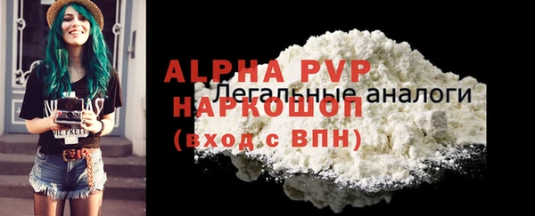 дживик Мегион