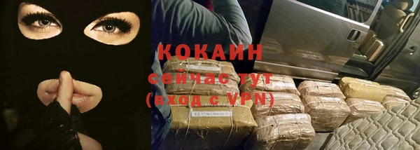 дживик Мегион