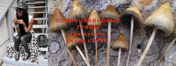 дживик Мегион