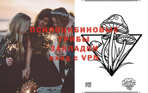 a pvp Медвежьегорск