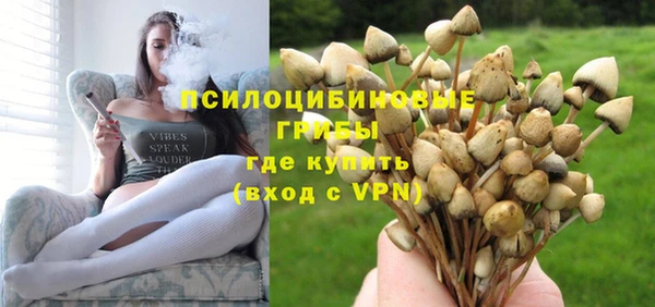 a pvp Медвежьегорск