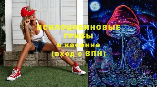 прущие грибы Шали